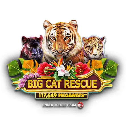 BIG CAT RESCUE MEGAWAYS