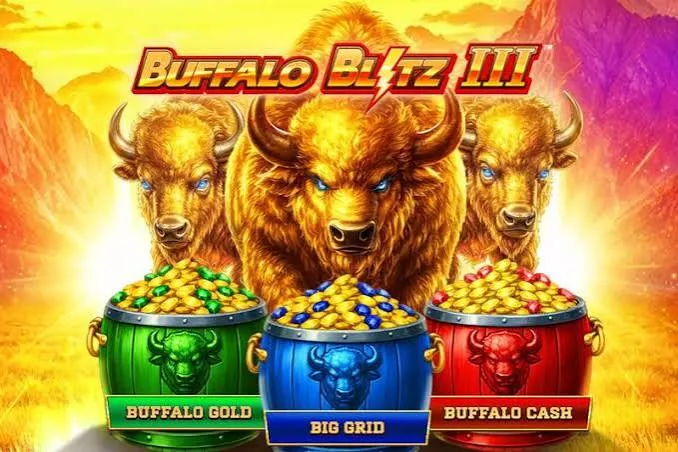 Buffalo Blitz III