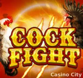 Cock Fight