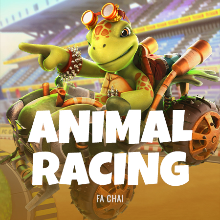 Animal Racing