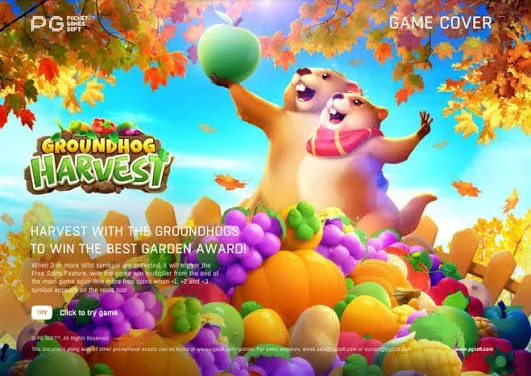 Groundhog Harvest