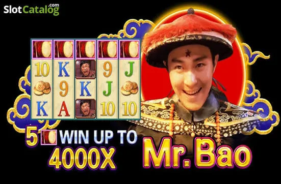 Mr. Bao