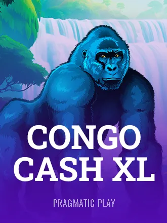 Congo Cash XL
