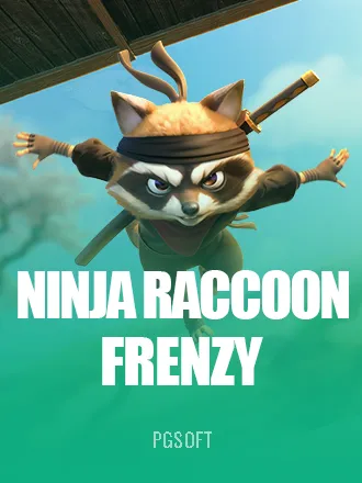 Ninja Raccoon Frenzy