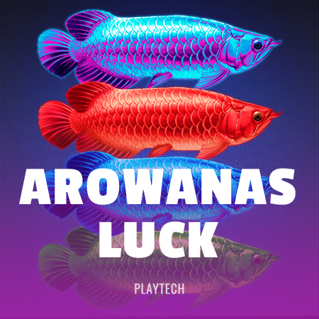 Arowana’s Luck