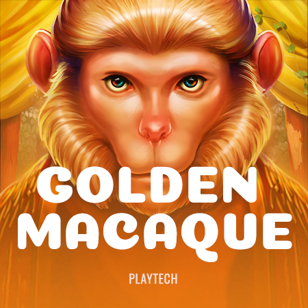 Fire Blaze: Golden Macaque