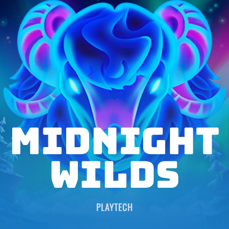 Midnight Wilds