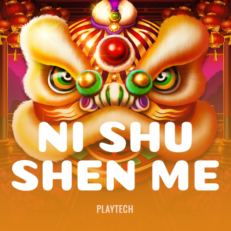 Ni Shu Shen Me