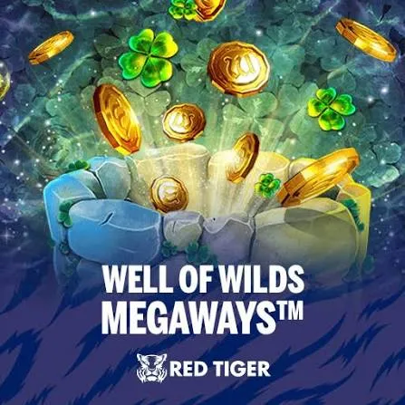 WELL OF WILDS MEGAWAYS