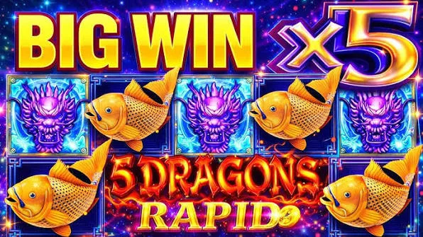 5 Dragons Rapid